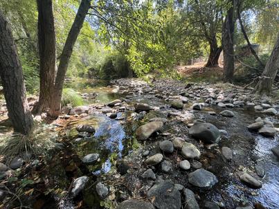 stream